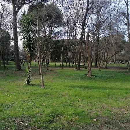 La Casina Giramondo Di Ele Holiday home Viareggio